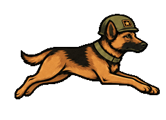 Cable Dog, our helmet-wearing Belgian Malinois mascot
